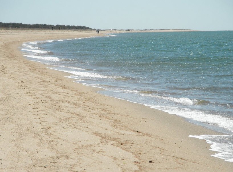 South Cape Beach State Park, Massachusetts, USA